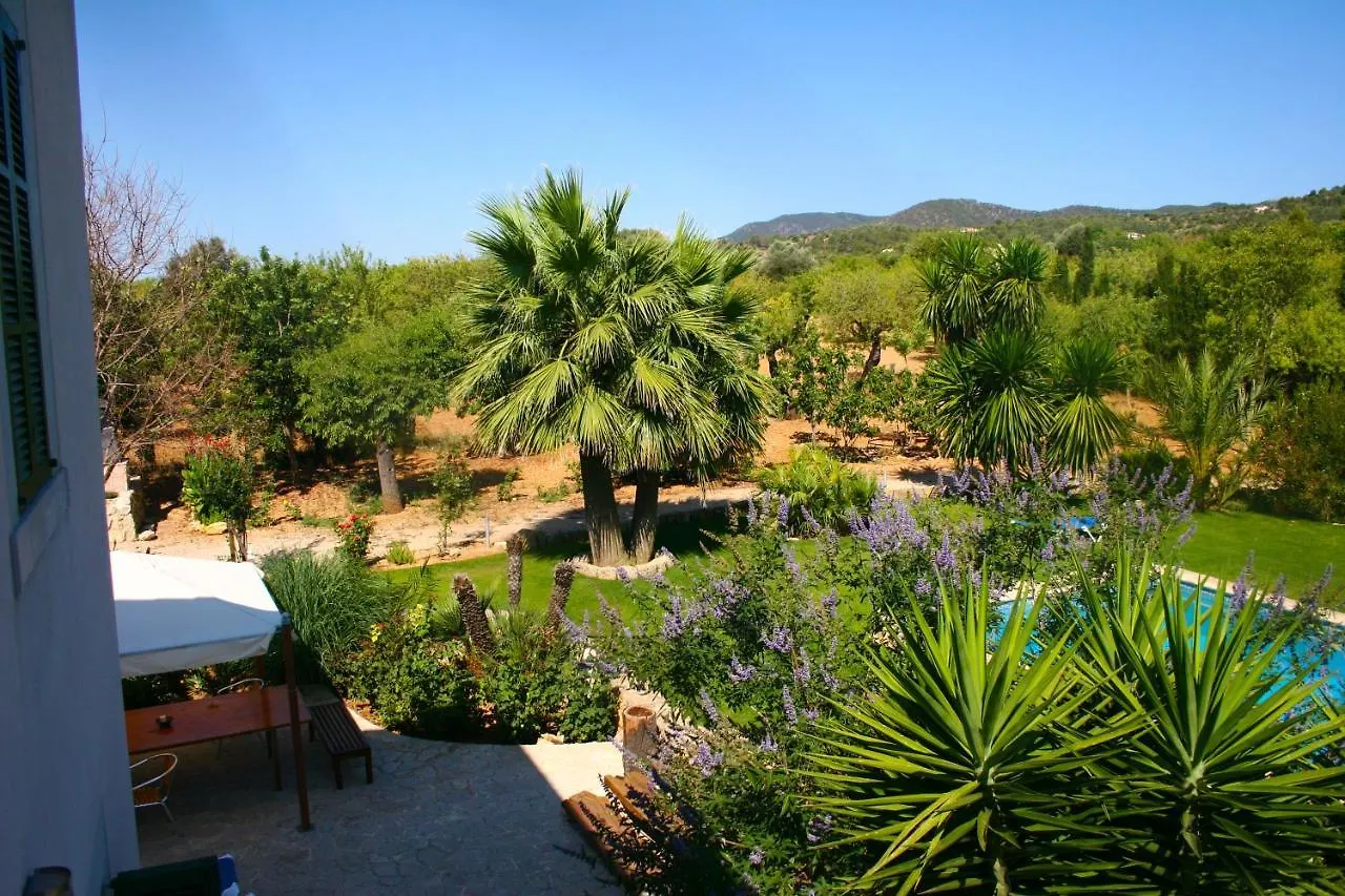 Son Jordi nou, beautiful villa near Alaro big swimming pool, BBQ mountain views 12people Consell 0*,