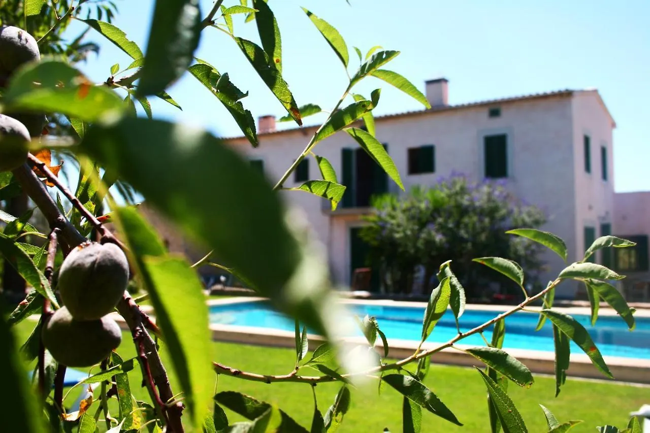Son Jordi Nou, Beautiful Villa Near Alaro Big Swimming Pool, Bbq Mountain Views 12People Consell