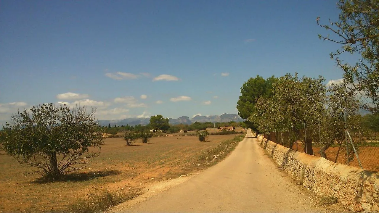 Son Jordi nou, beautiful villa near Alaro big swimming pool, BBQ mountain views 12people Consell Spagna