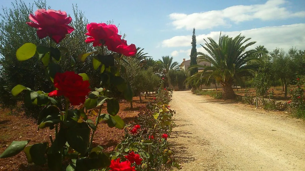 Son Jordi nou, beautiful villa near Alaro big swimming pool, BBQ mountain views 12people Consell 0*,  Spagna