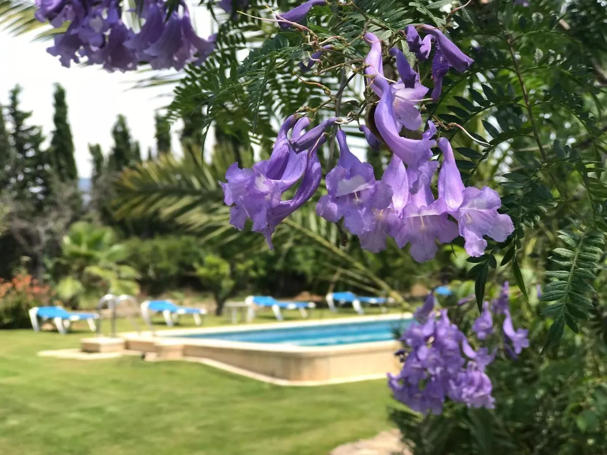 Son Jordi nou, beautiful villa near Alaro big swimming pool, BBQ mountain views 12people Consell