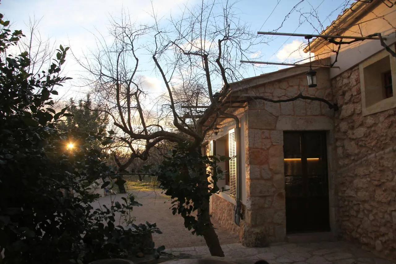 Son Jordi nou, beautiful villa near Alaro big swimming pool, BBQ mountain views 12people Consell